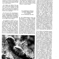 courrier cnrs 45_Page_18.jpg