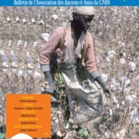 A3Bulletin59Coton_Page_01.jpg