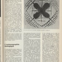 Le courrier du CNRS 5