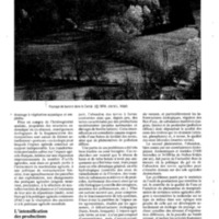 courrier cnrs 72_Page_060.jpg