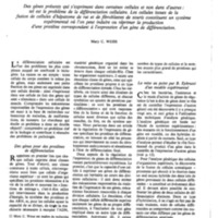 courrier cnrs 41_Page_35.jpg