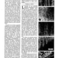courrier cnrs 52-53_Page_55.jpg