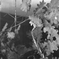 rapport 1970_180.jpg