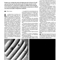 courrier cnrs 74_Page_11.jpg