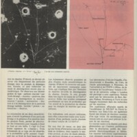 Le courrier du CNRS 20