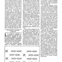 courrier cnrs 52-53_Page_19.jpg