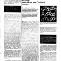 courrier cnrs 61-62_Page_50.jpg