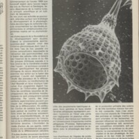 Le courrier du CNRS 26