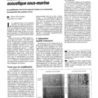 courrier cnrs 77_Page_028.jpg