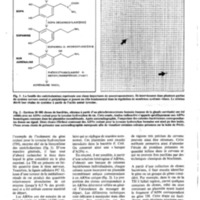 courrier cnrs 55-56_Page_22.jpg