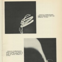 Rapport CNRS 1959-1960