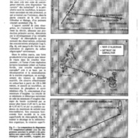 courrier cnrs 57_Page_20.jpg
