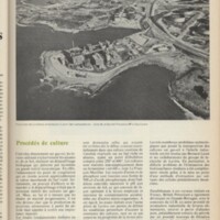 Le courrier du CNRS 9