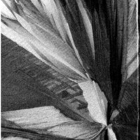 courrier cnrs 78_Page_68.jpg