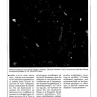 courrier cnrs 76_Page_090.jpg