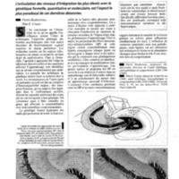 courrier cnrs 79_Page_082.jpg