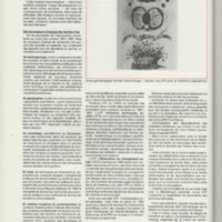 Rapport CNRS 1981-1982