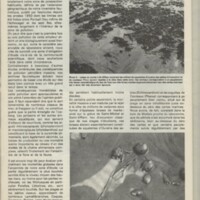 Le courrier du CNRS 29