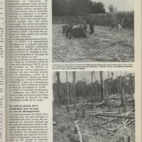 Le courrier du CNRS 30