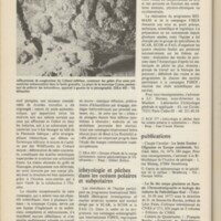 Le courrier du CNRS 36