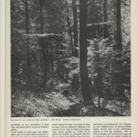 Le courrier du CNRS 20