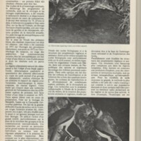 Le courrier du CNRS 8