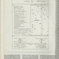 Le courrier du CNRS 28
