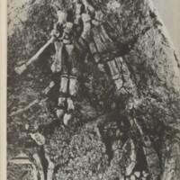 Le courrier du CNRS 25