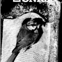 courrier cnrs 45_Page_01.jpg