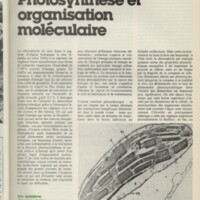 Le courrier du CNRS 22