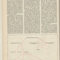 Le courrier du CNRS 32