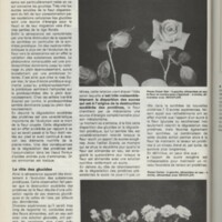 Le courrier du CNRS 27