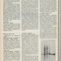 Le courrier du CNRS 22