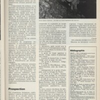 Le courrier du CNRS 4