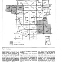 courrier cnrs 42_Page_44.jpg