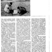 courrier cnrs 47_Page_32.jpg