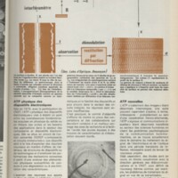 Le courrier du CNRS 23