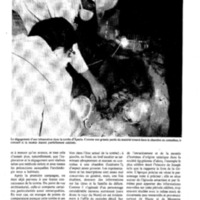 courrier cnrs 49_Page_36.jpg