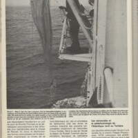 Le courrier du CNRS 29