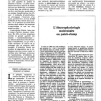 courrier cnrs 55-56_Page_19.jpg