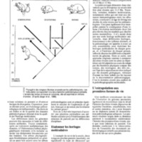 courrier cnrs 76_Page_064.jpg