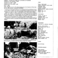 courrier cnrs 44_Page_31.jpg