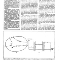 courrier cnrs 50_Page_26.jpg