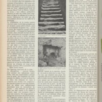 Le courrier du CNRS 9