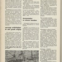 Le courrier du CNRS 31