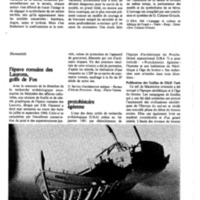 courrier cnrs 40_Page_51.jpg