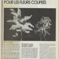 Le courrier du CNRS 27