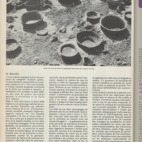 Le courrier du CNRS 11