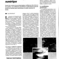 courrier cnrs 77_Page_092.jpg
