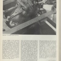 Le courrier du CNRS 14